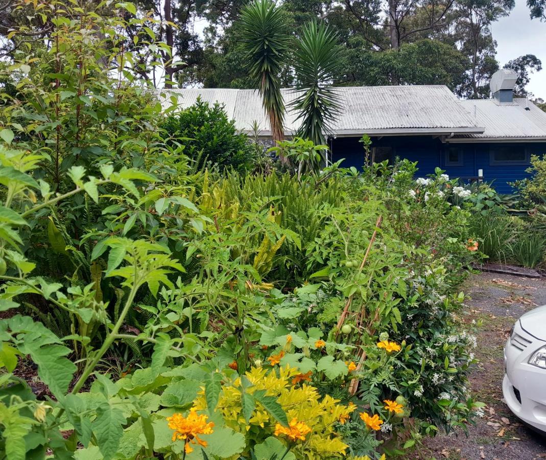 Sky Island Studios Mount Tamborine Exterior photo