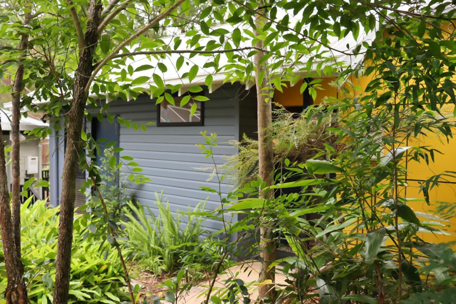 Sky Island Studios Mount Tamborine Room photo